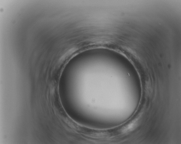 X0000062921257200601201953