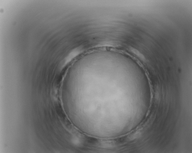 X0000062921258200601201952