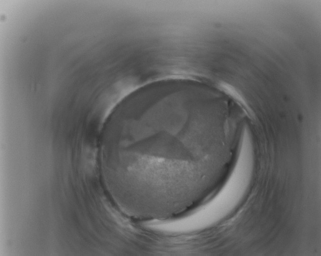 X0000062921260200601201952