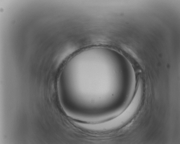 X0000062921261200601201952