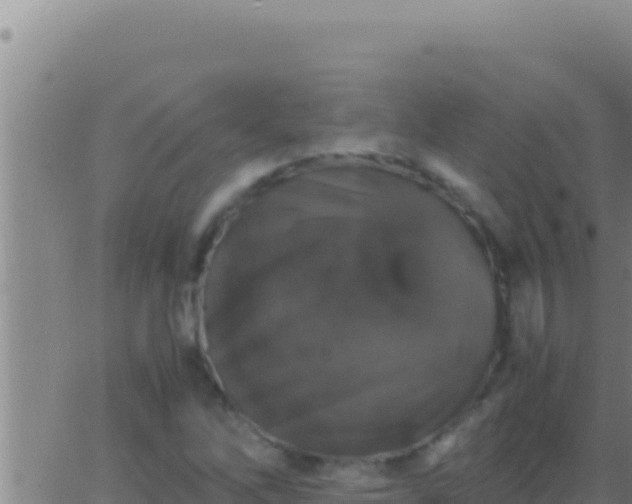 X0000062921262200601201952