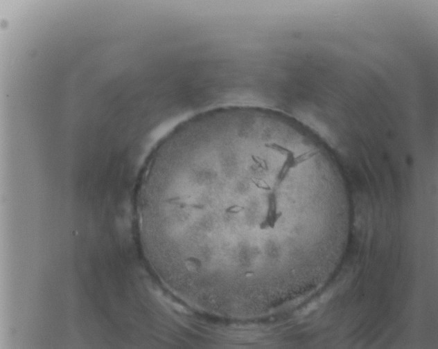 X0000062921264200601201952