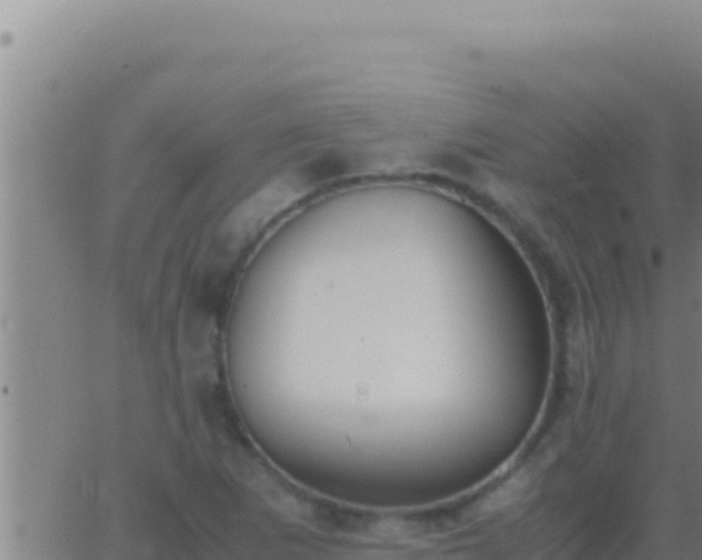 X0000062921265200601201952