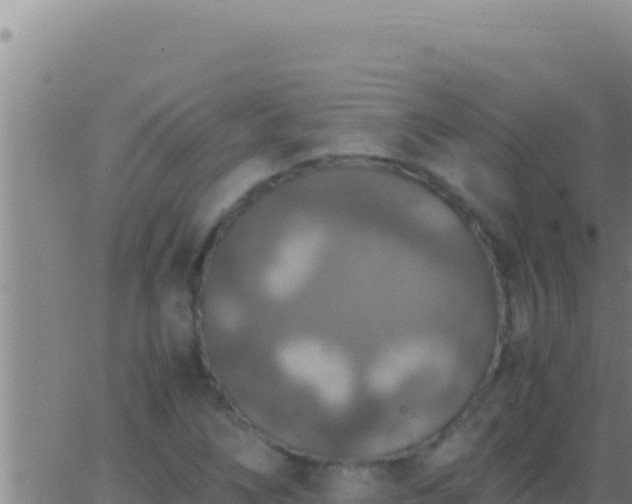 X0000062921266200601201952