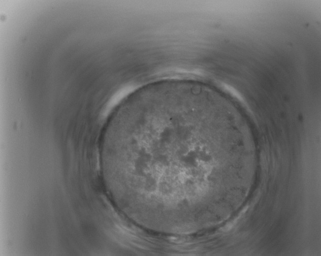 X0000062921267200601201952