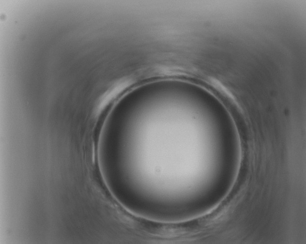 X0000062921269200601201952