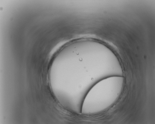 X0000062921271200601201952