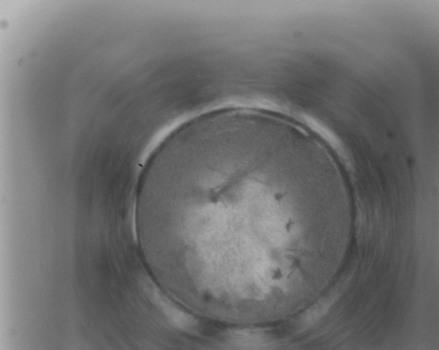 X0000062921272200601201952