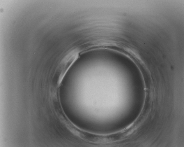 X0000062921273200601201952