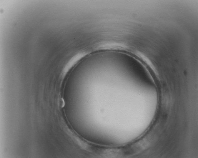 X0000062921277200601201952