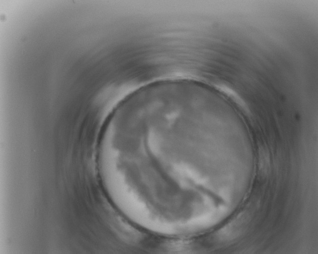 X0000062921278200601201952