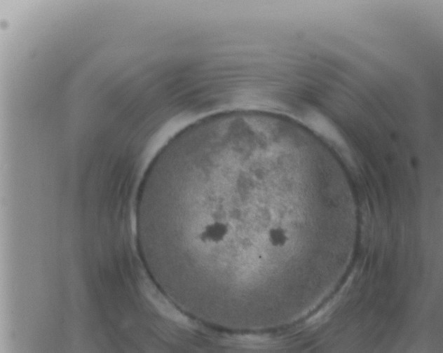 X0000062921280200601201952