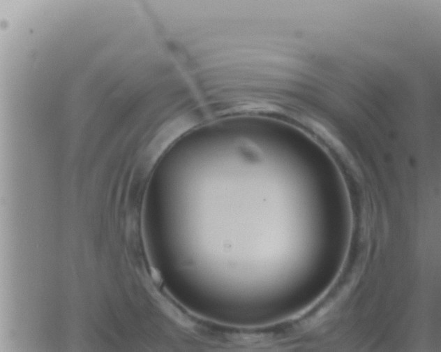 X0000062921281200601201952