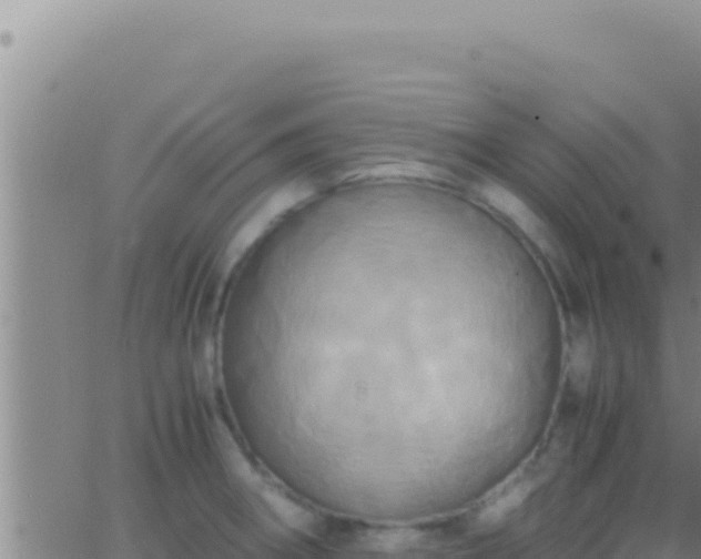 X0000062921282200601201952