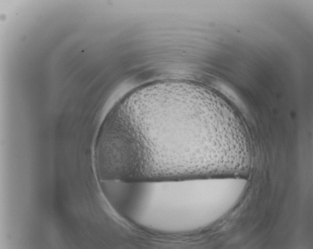 X0000062921283200601201952