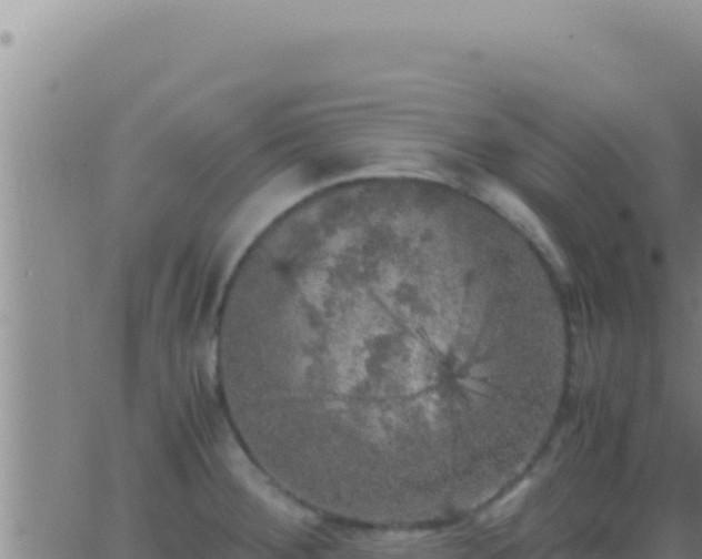 X0000062921284200601201952