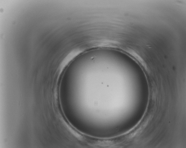 X0000062921285200601201952