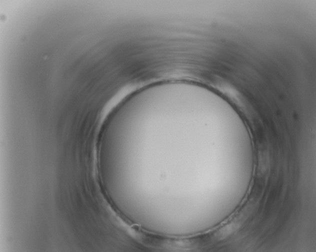 X0000062921286200601201952