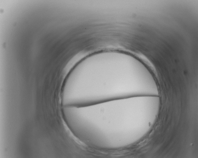 X0000062921287200601201952