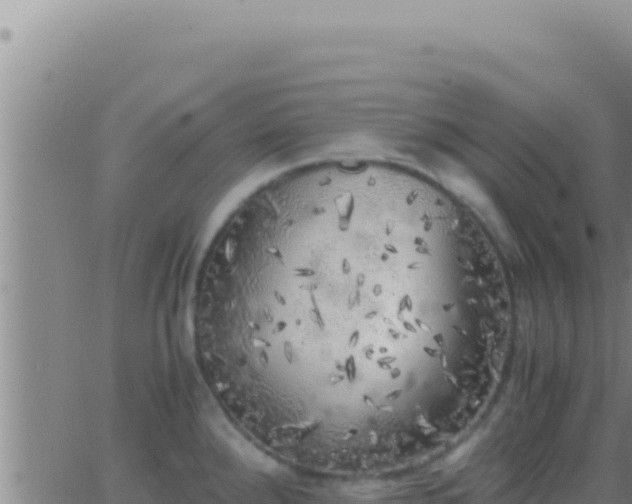 X0000062921288200601201952