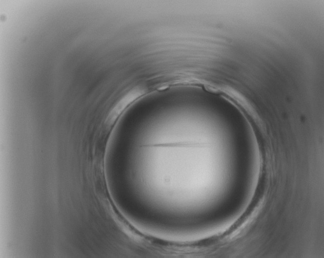 X0000062921289200601201952