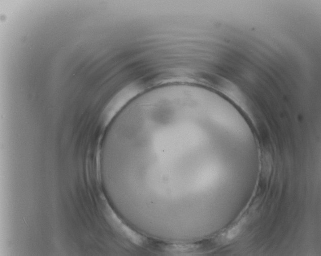 X0000062921290200601201952