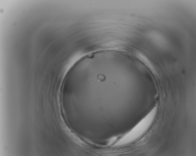 X0000062921291200601201952