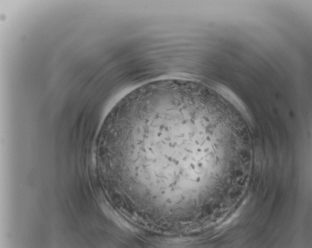 X0000062921292200601201952