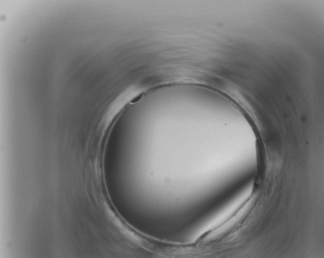 X0000062921293200601201952