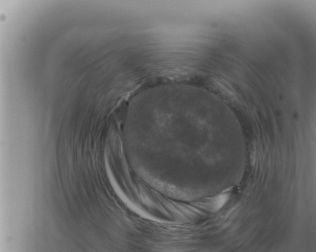 X0000062921298200601201951