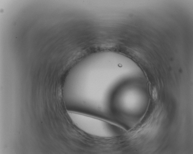 X0000062921299200601201951