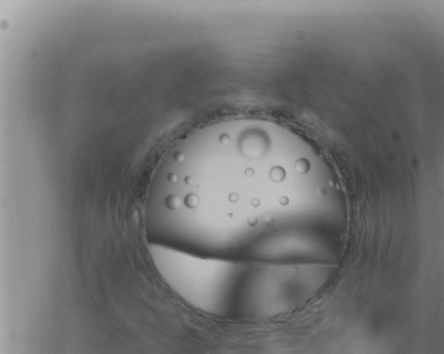 X0000062921302200601201951