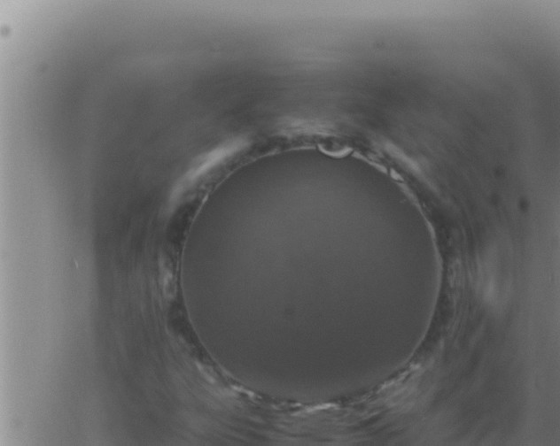 X0000062921303200601201951