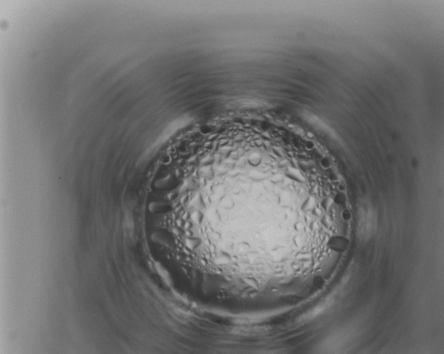 X0000062921305200601201951