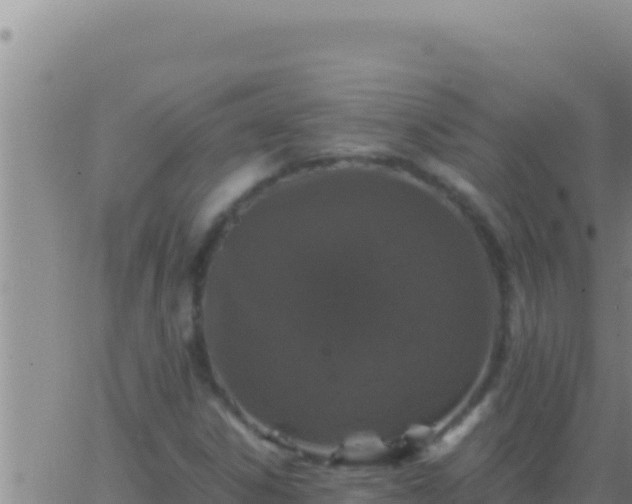 X0000062921306200601201951