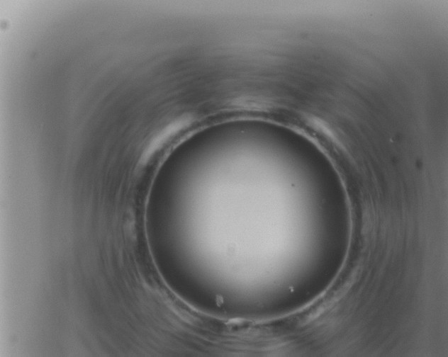 X0000062921307200601201951