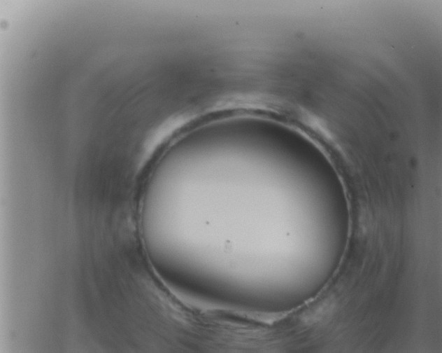 X0000062921312200601201951