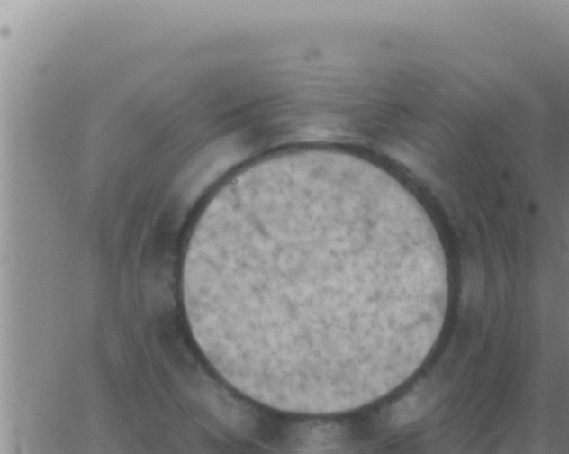 X0000062921314200601201951