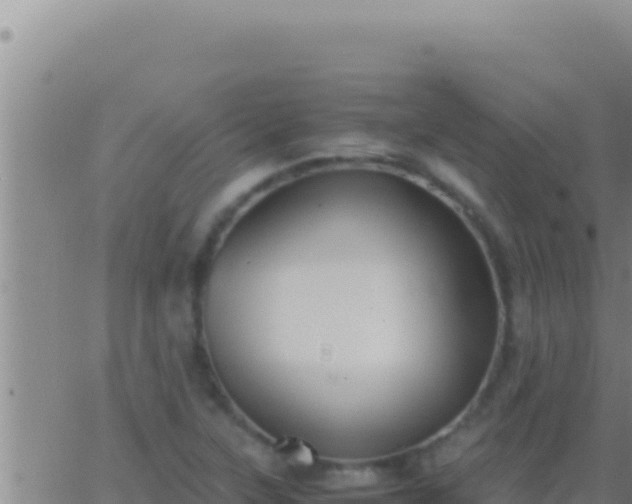 X0000062921315200601201951