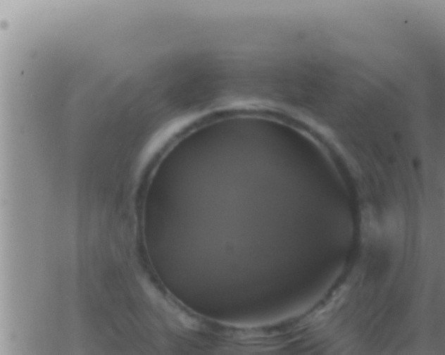 X0000062921319200601201951