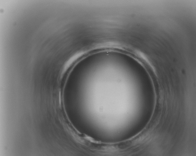 X0000062921320200601201951