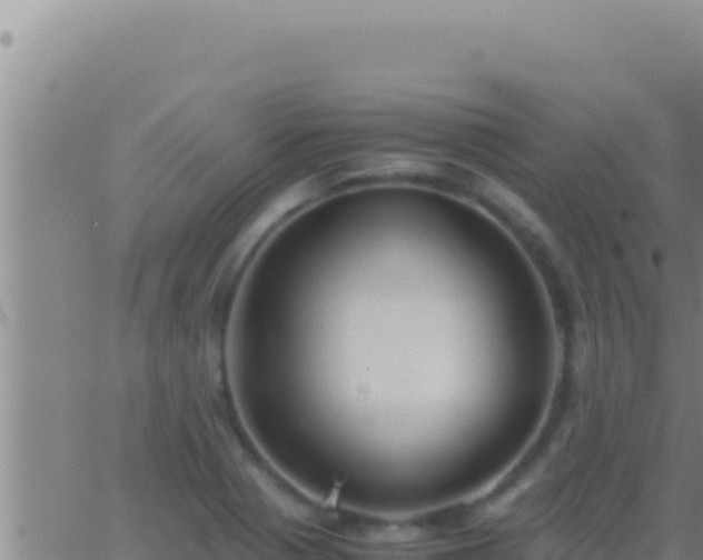 X0000062921321200601201951