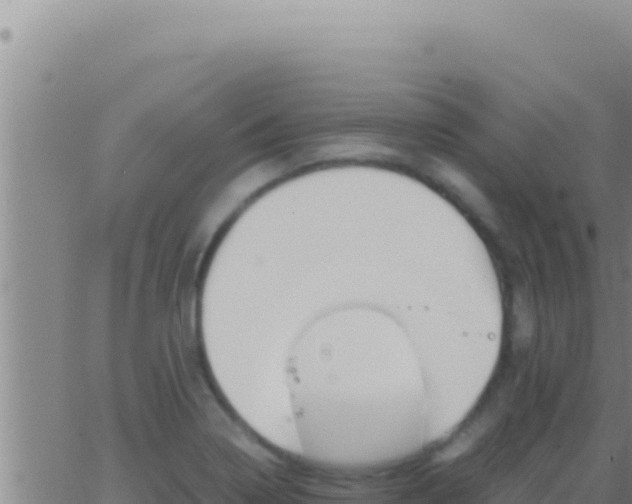 X0000062921322200601201951