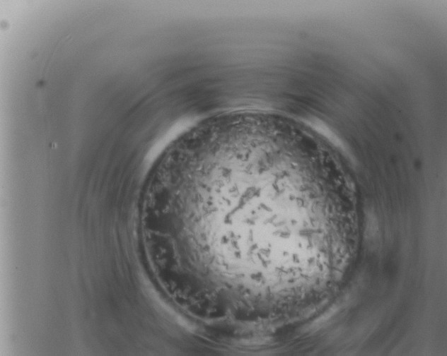 X0000062921325200601201952