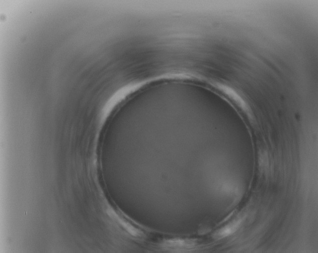 X0000062921327200601201952