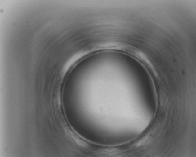 X0000062921328200601201952