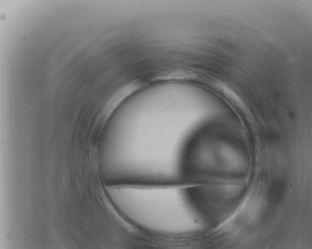 X0000062921329200601201952