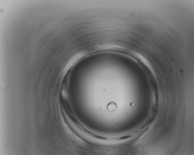 X0000062921330200601201952