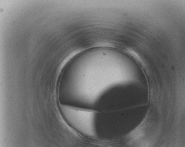 X0000062921331200601201952