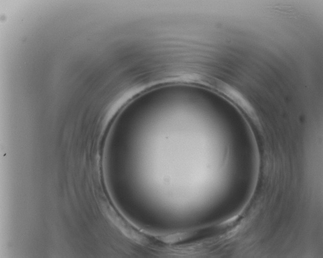 X0000062921332200601201952